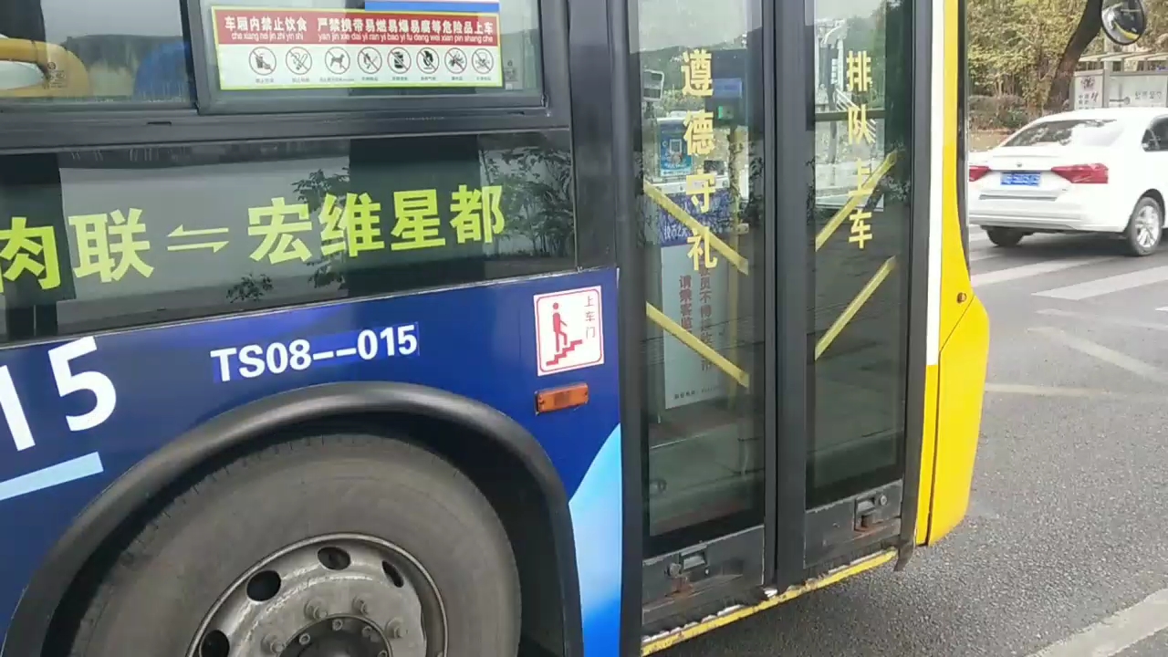 公交车合集电子书公交车合集-第3张图片