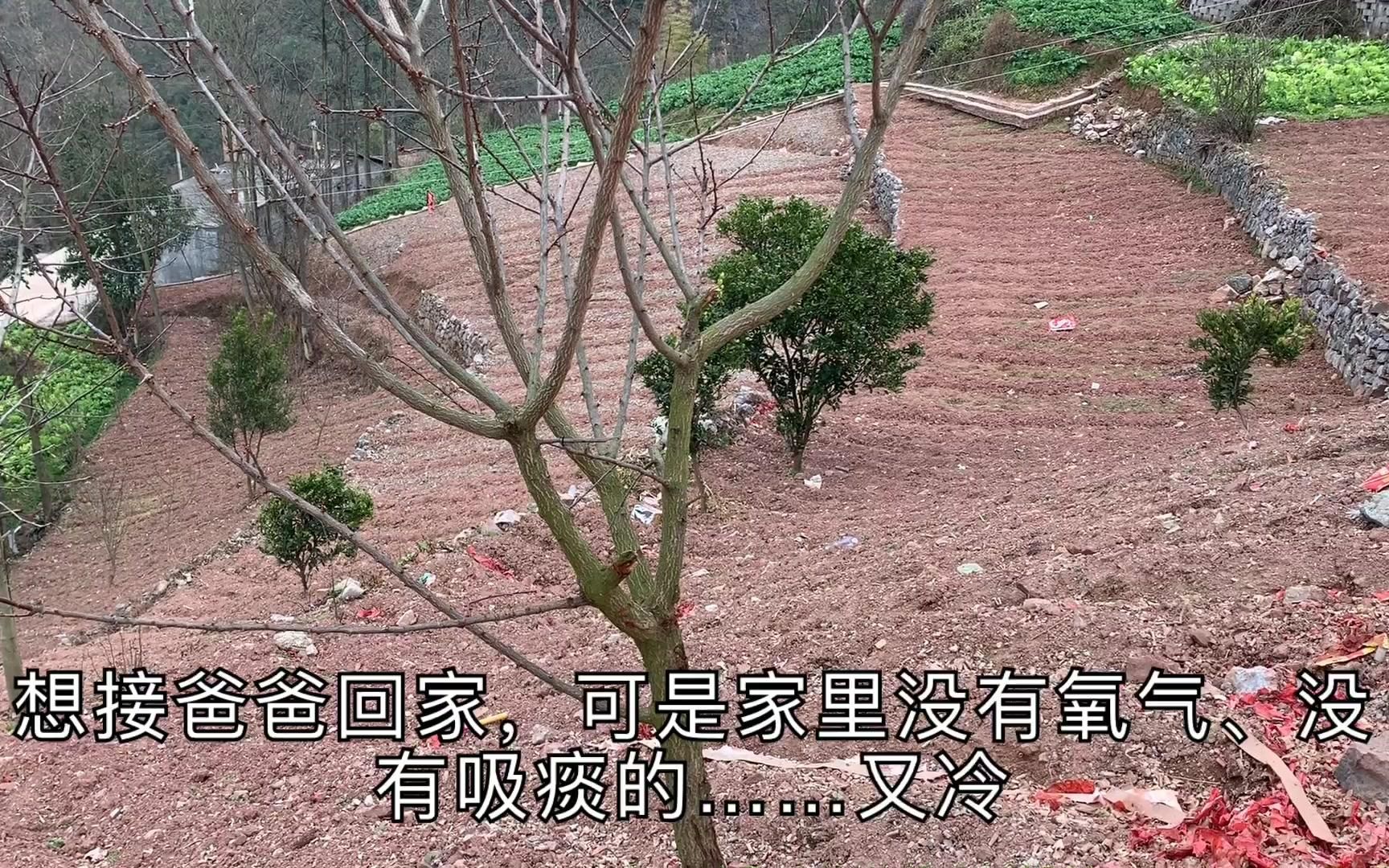 爸爸不回来了-第3张图片