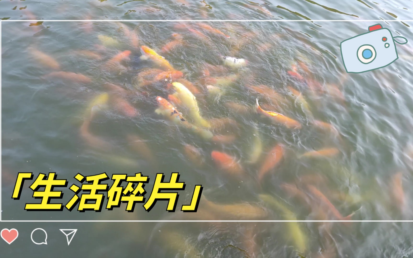 一边吃着葡萄一边扒开小括号小说一边吃着葡萄，一边扒开小括号