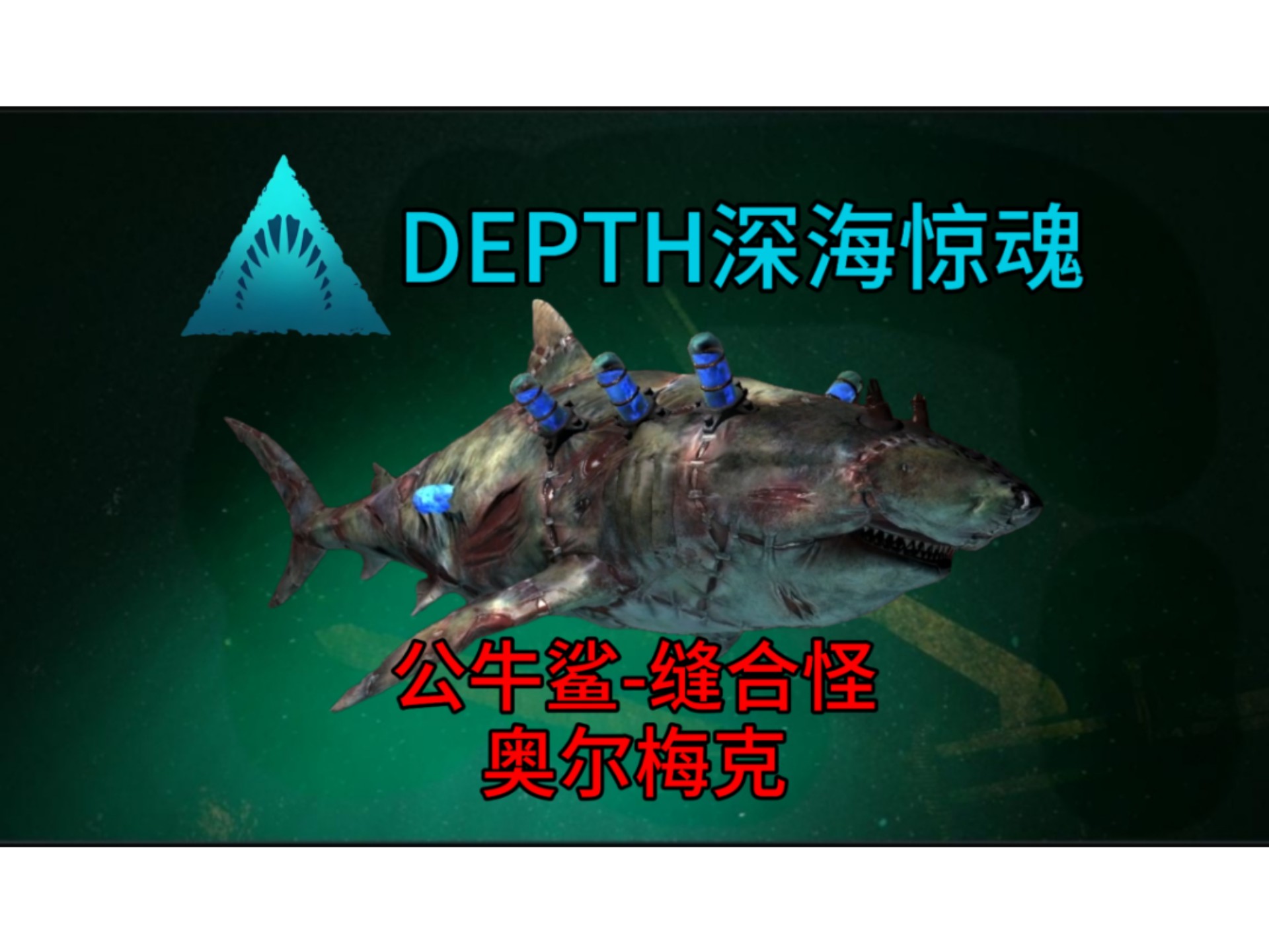 万能鲨鱼，海洋之霸