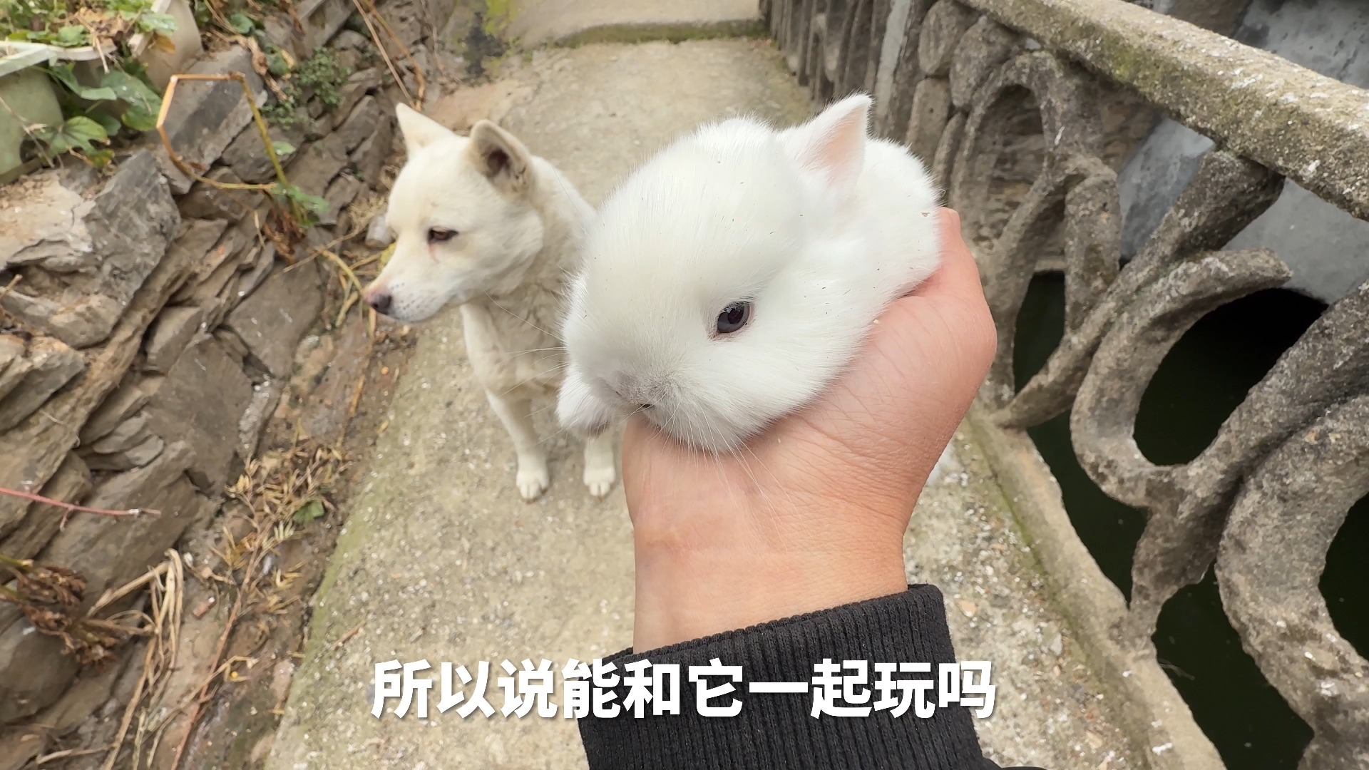 男朋友说我想摸你的小白兔男朋友说我想摸你的小白兔