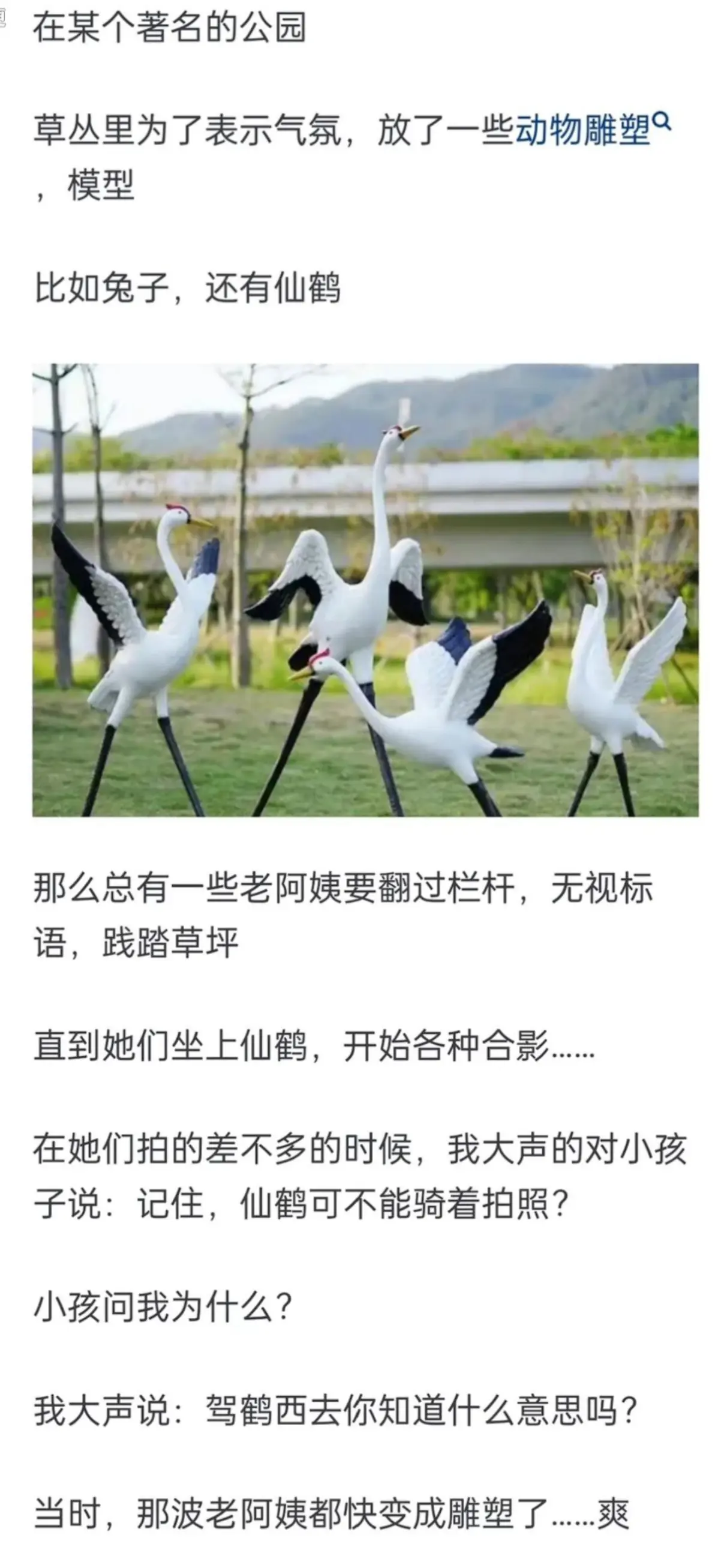 老阿姨与BILIBILI，一段特殊的缘分