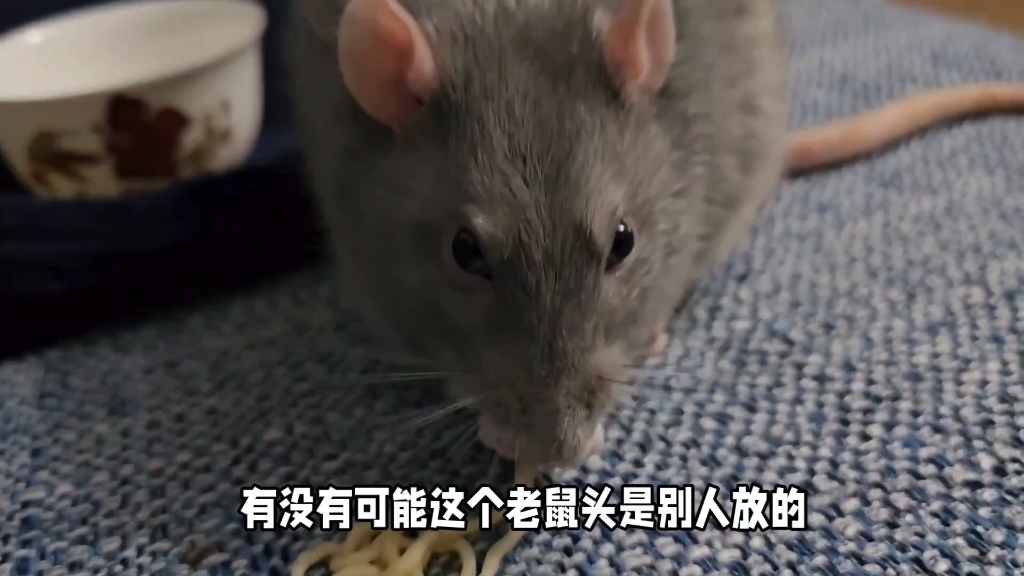 学生被内谢出白浆视频引发关注与反思