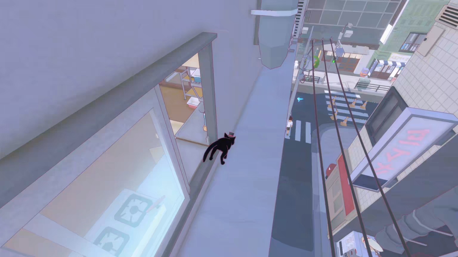 小猫咪在大城市的生活