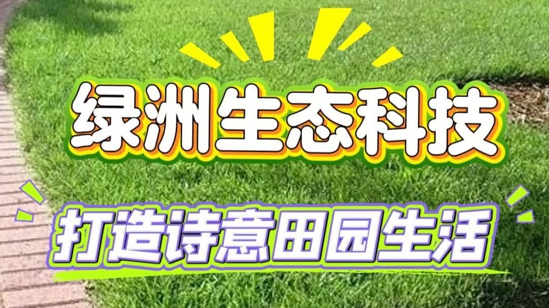小草论坛小草论坛，绿色交流的家园-第2张图片