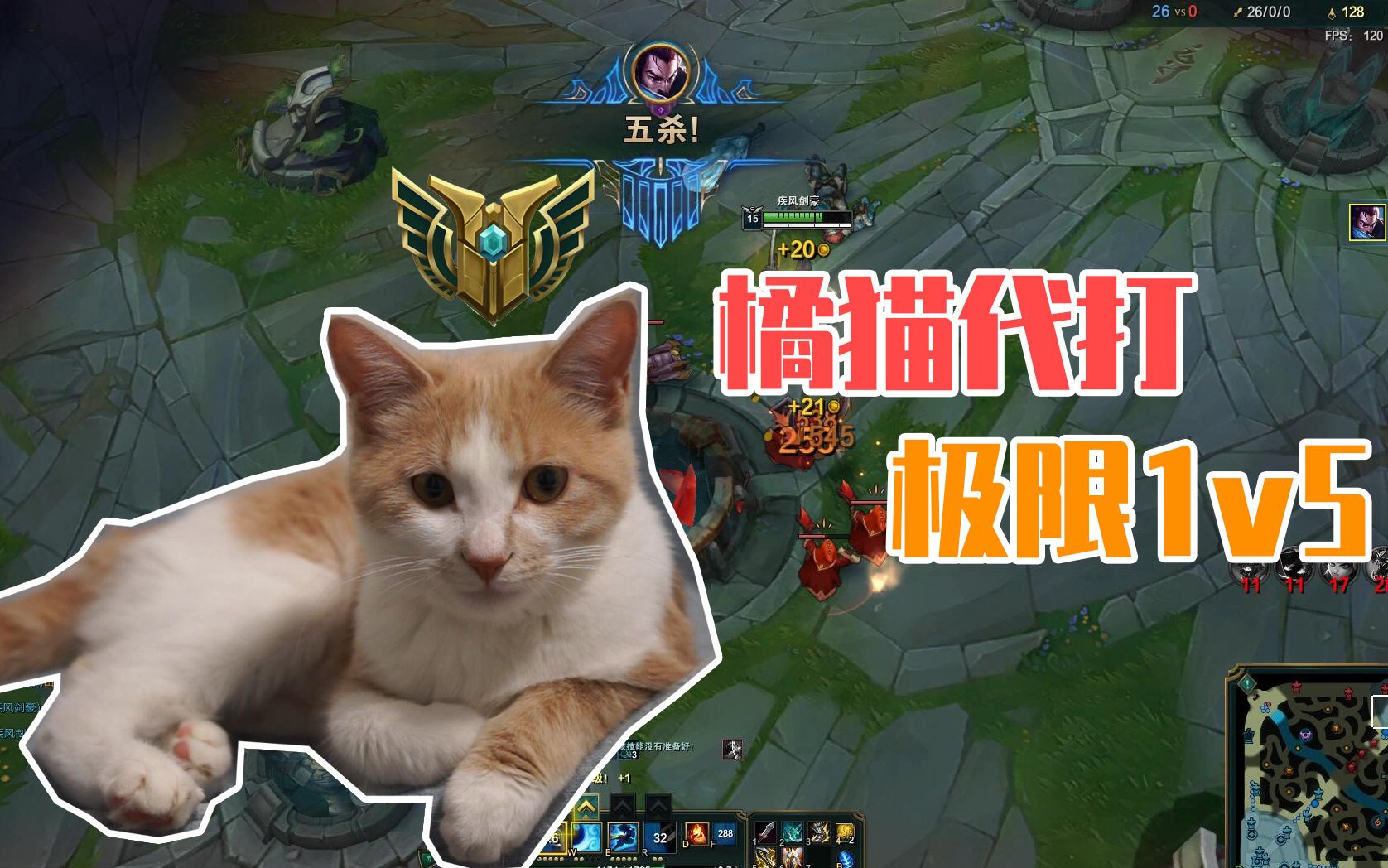 代练猫代练猫，代练市场的全新视角-第3张图片