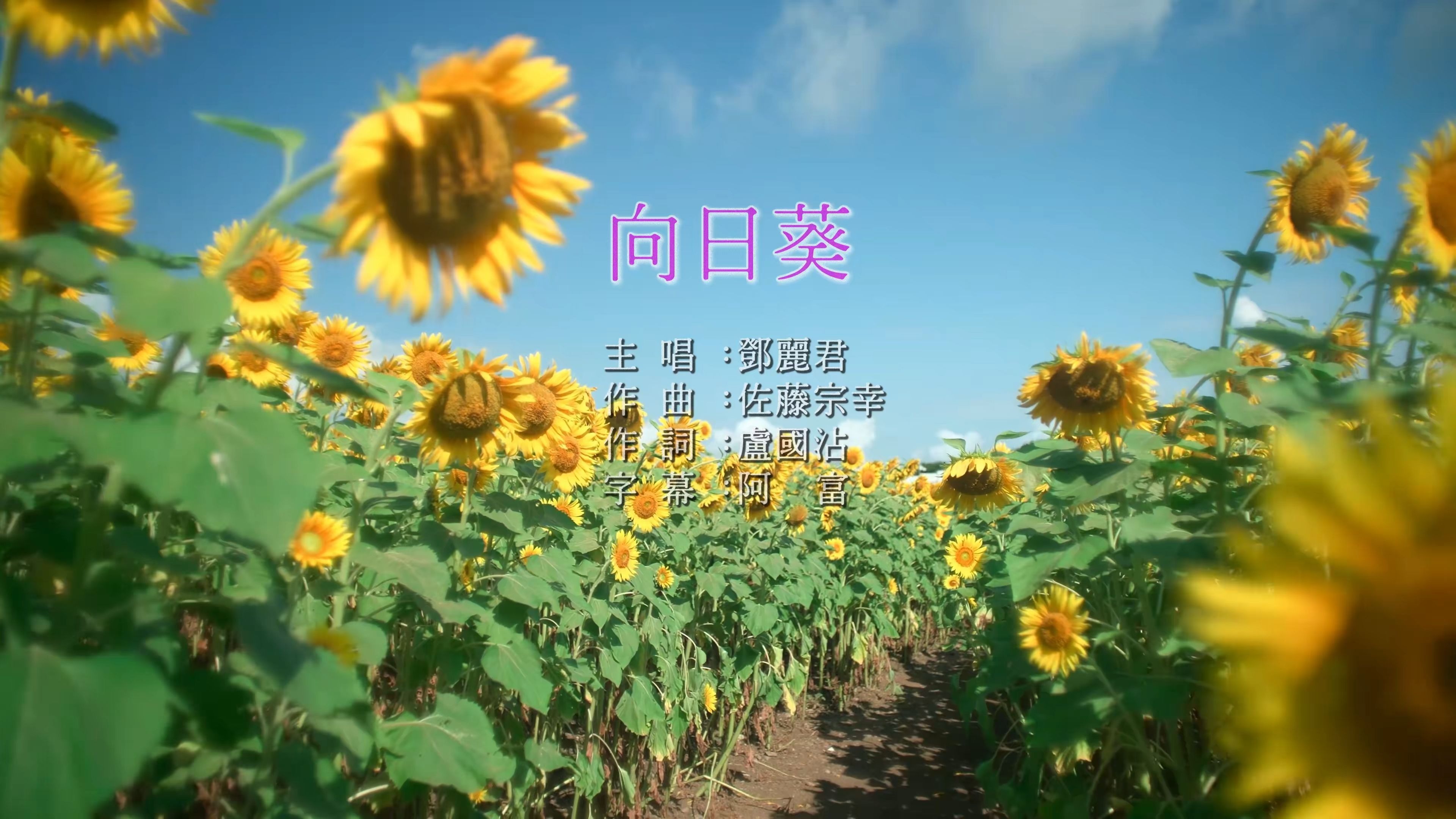 向日葵视频ios免费下载网站向日葵视频APP在线 IOS下载网址进入