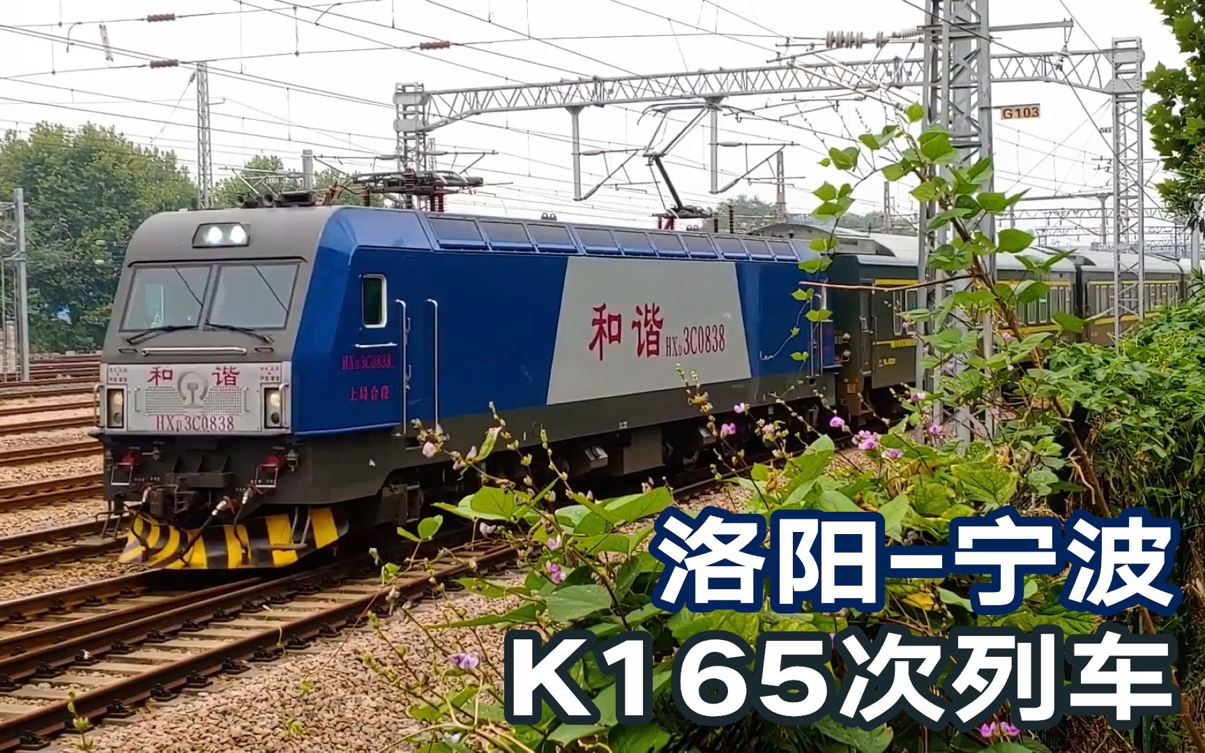 165次列车死亡人数揭秘