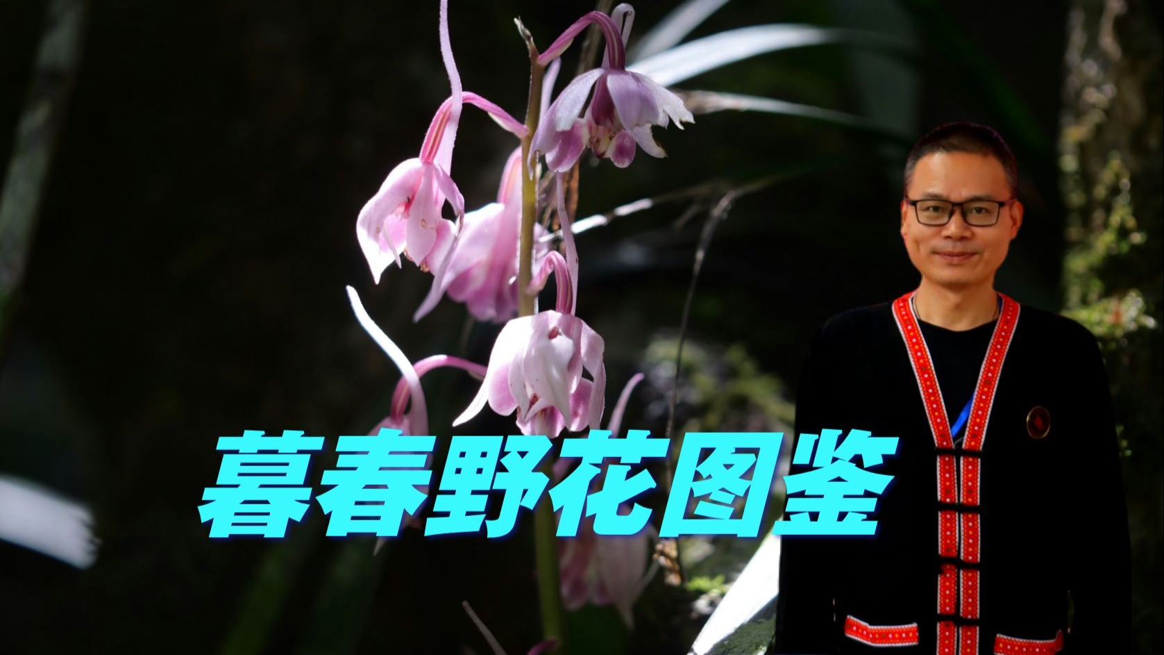 野花日本免费完整版高清版8的功能介绍野花日本免费完整版高清版8文章-第2张图片