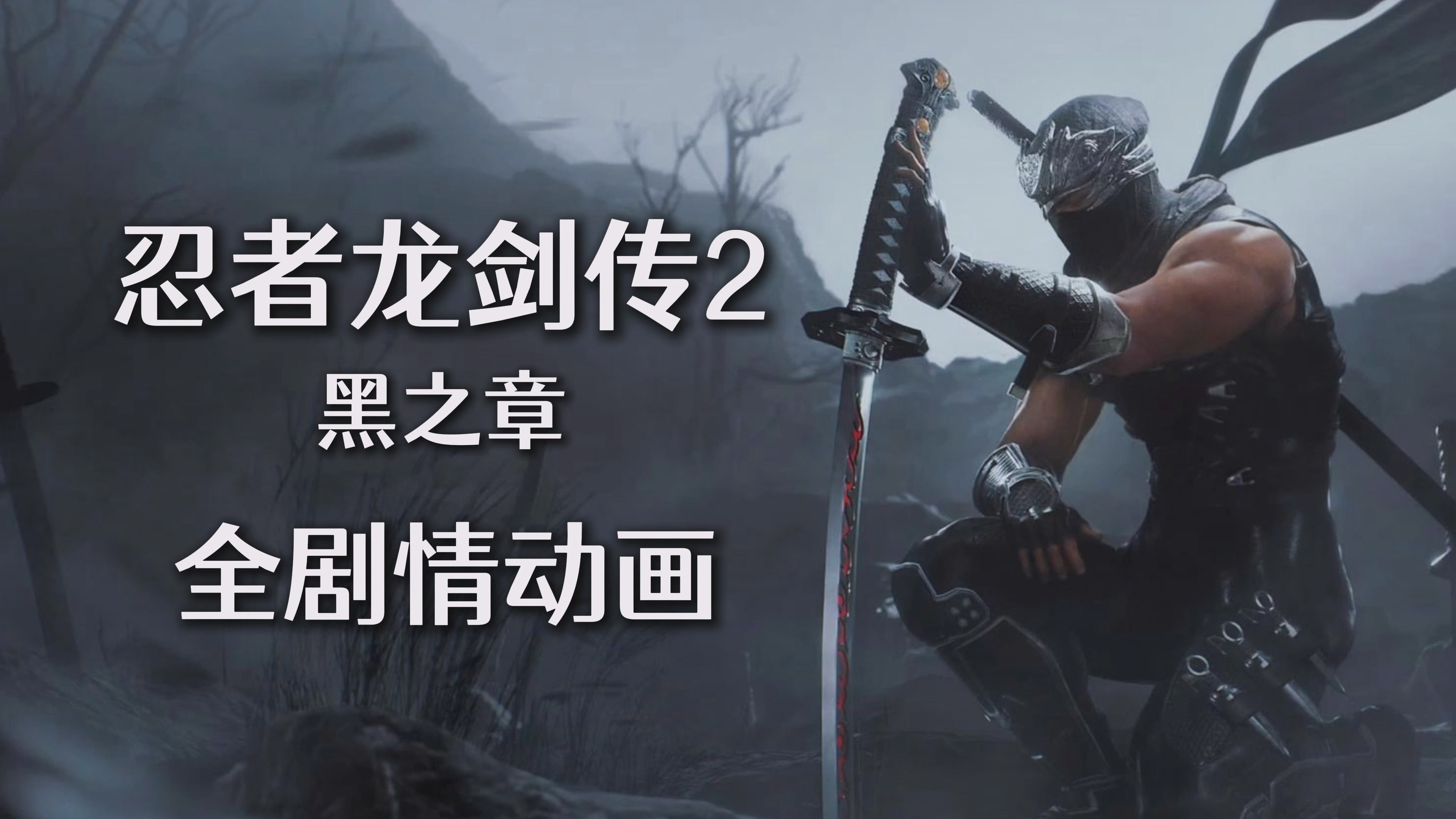 忍者英雄忍者英雄，传奇之魂-第2张图片