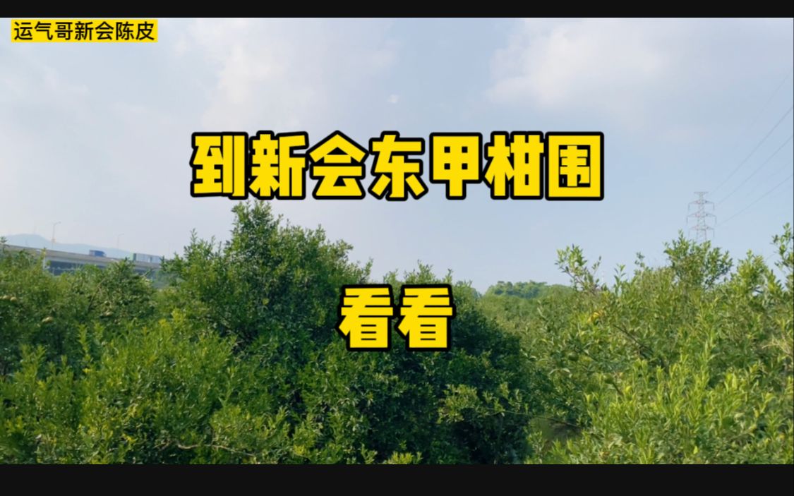 亚洲一线产区与二线产区的区别