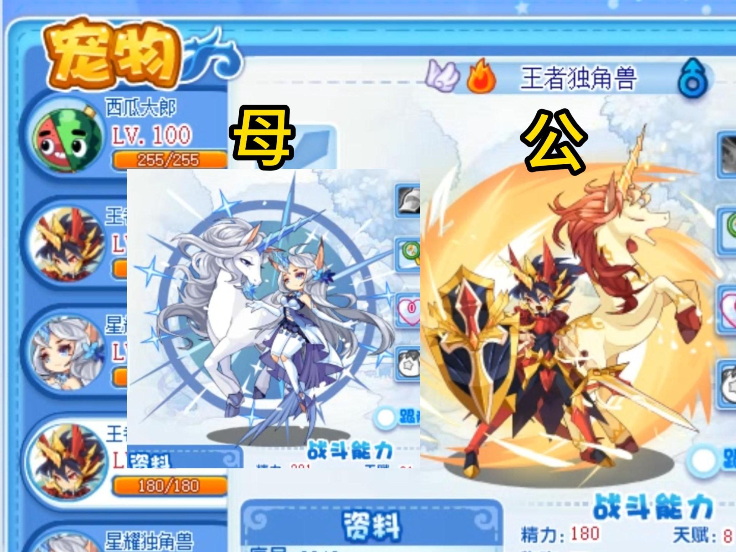 洛克独角兽怎么进化洛克独角兽，神秘之谜-第2张图片