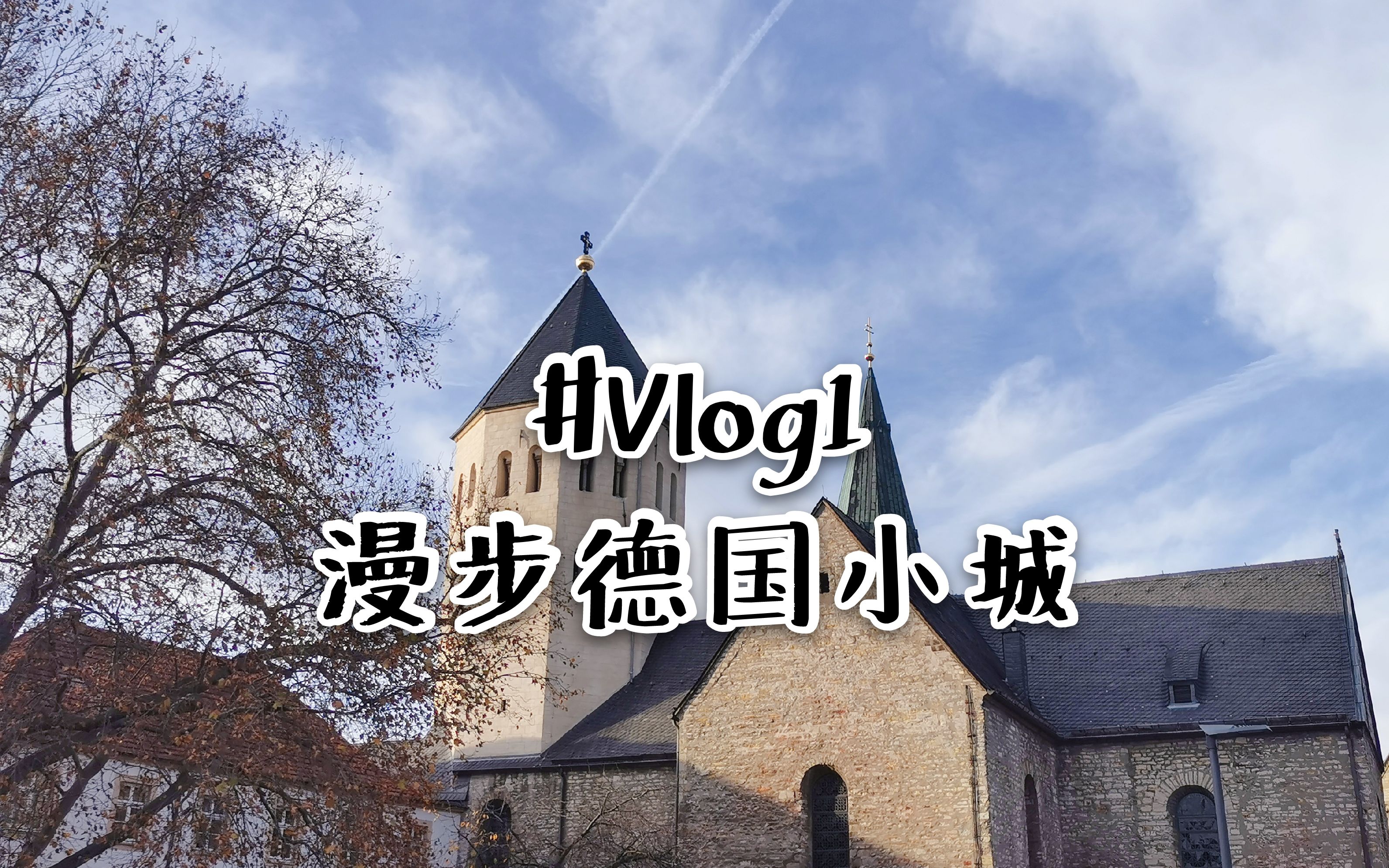 多毛背景下的BGMBGMBGM，胖胖的觉醒-第2张图片