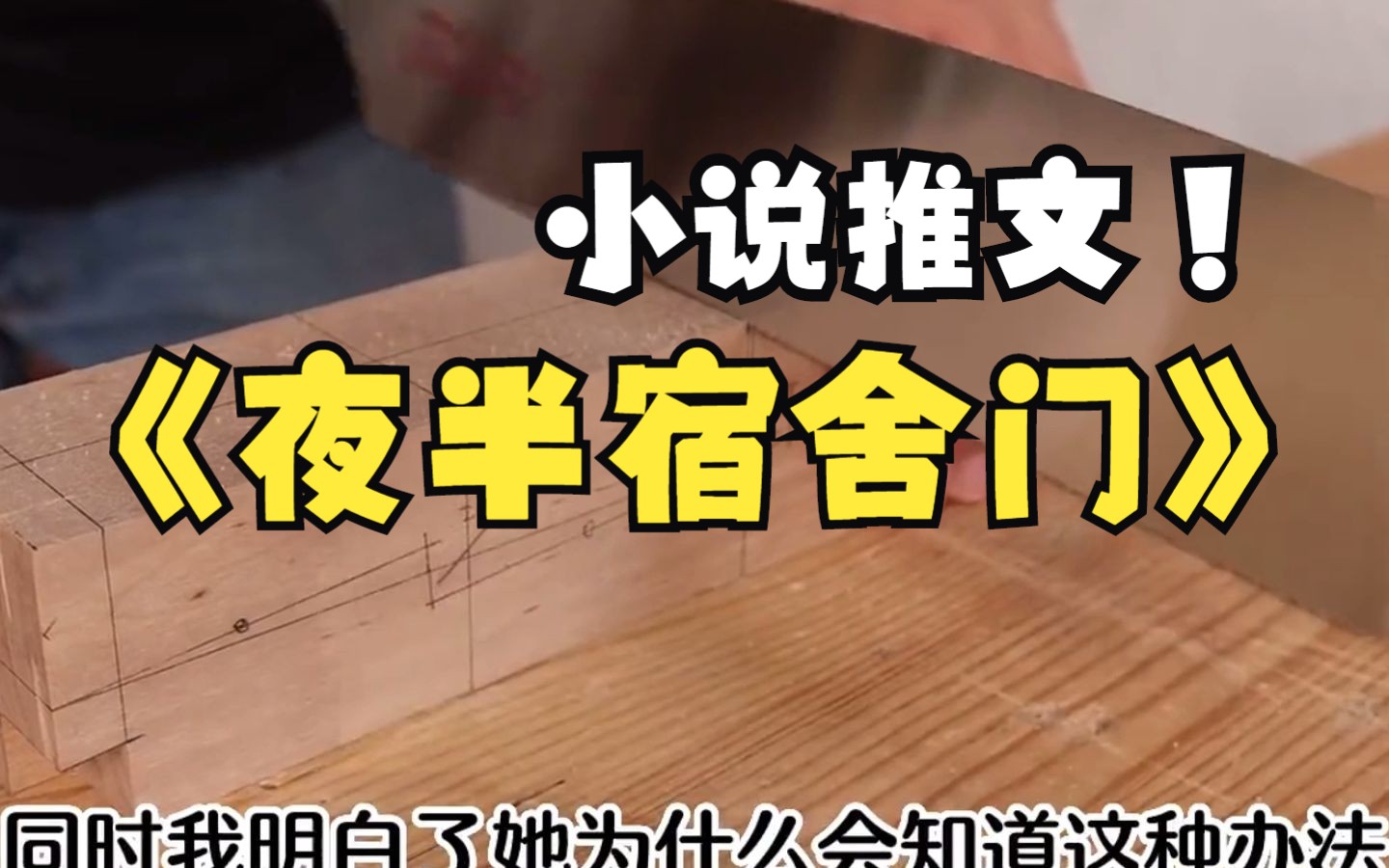 我是宿舍里的寄吧套小说免费我是宿舍里的寄吧套