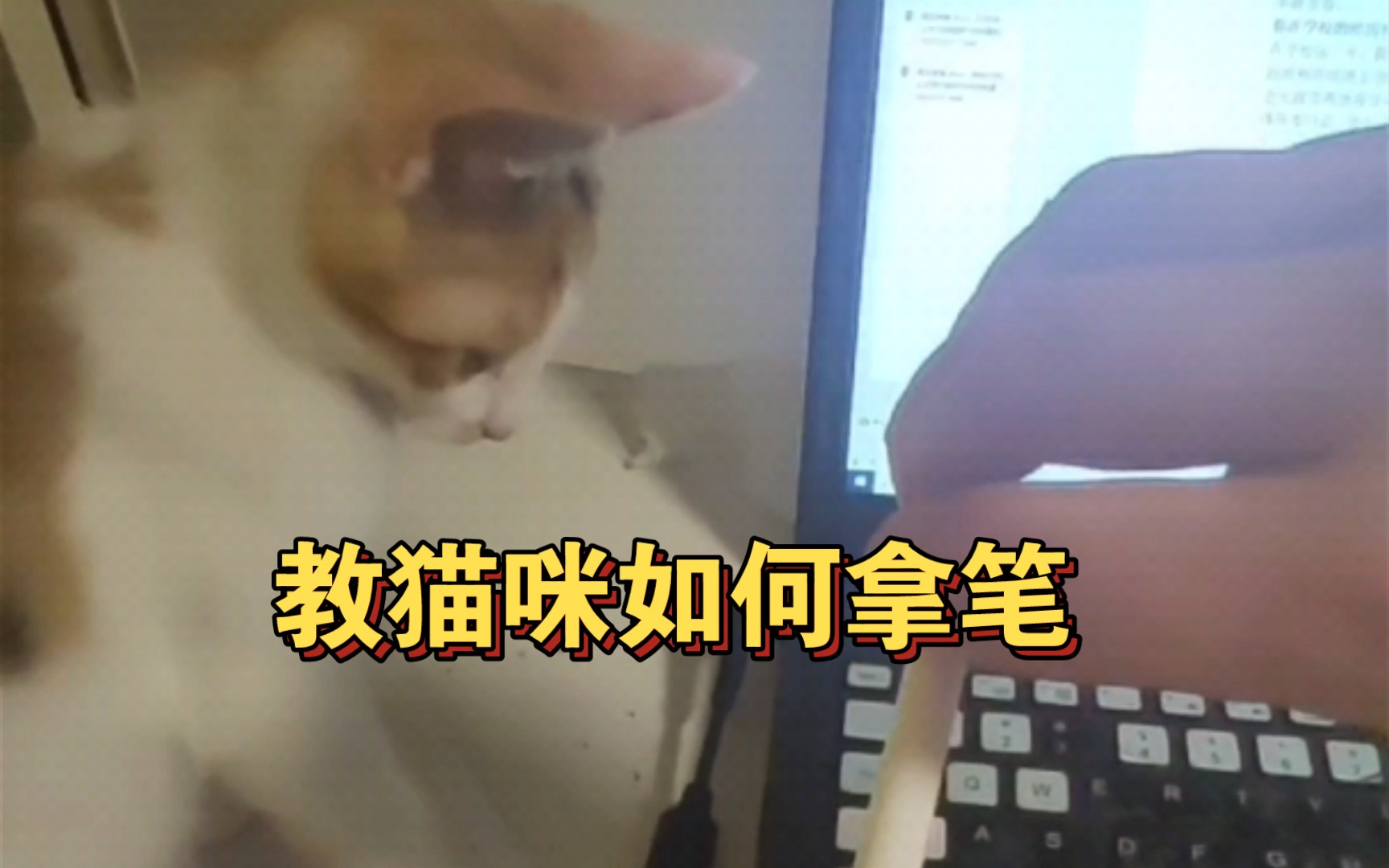 如何用一支笔玩哭自己的孩子如何用一支笔玩哭自己