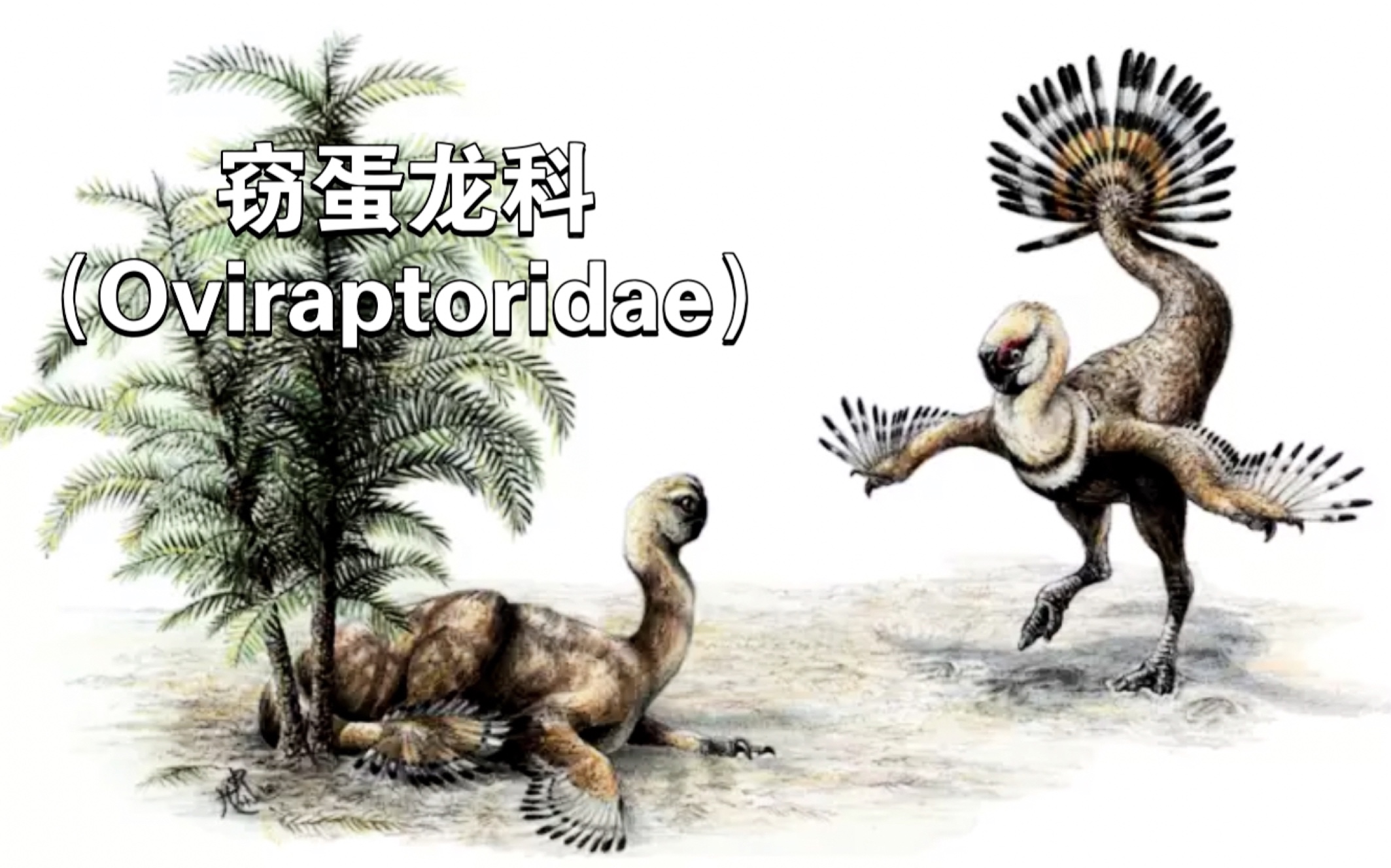 蛋蛋龙游戏官网蛋蛋龙，神秘的生物-第3张图片