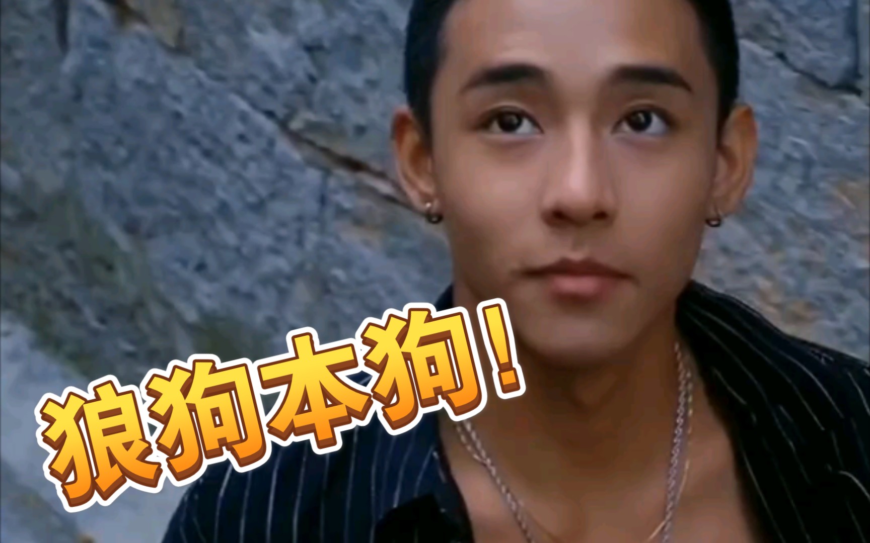 小狼狗高手论坛，探讨狼犬成长与训练的奥秘-第3张图片