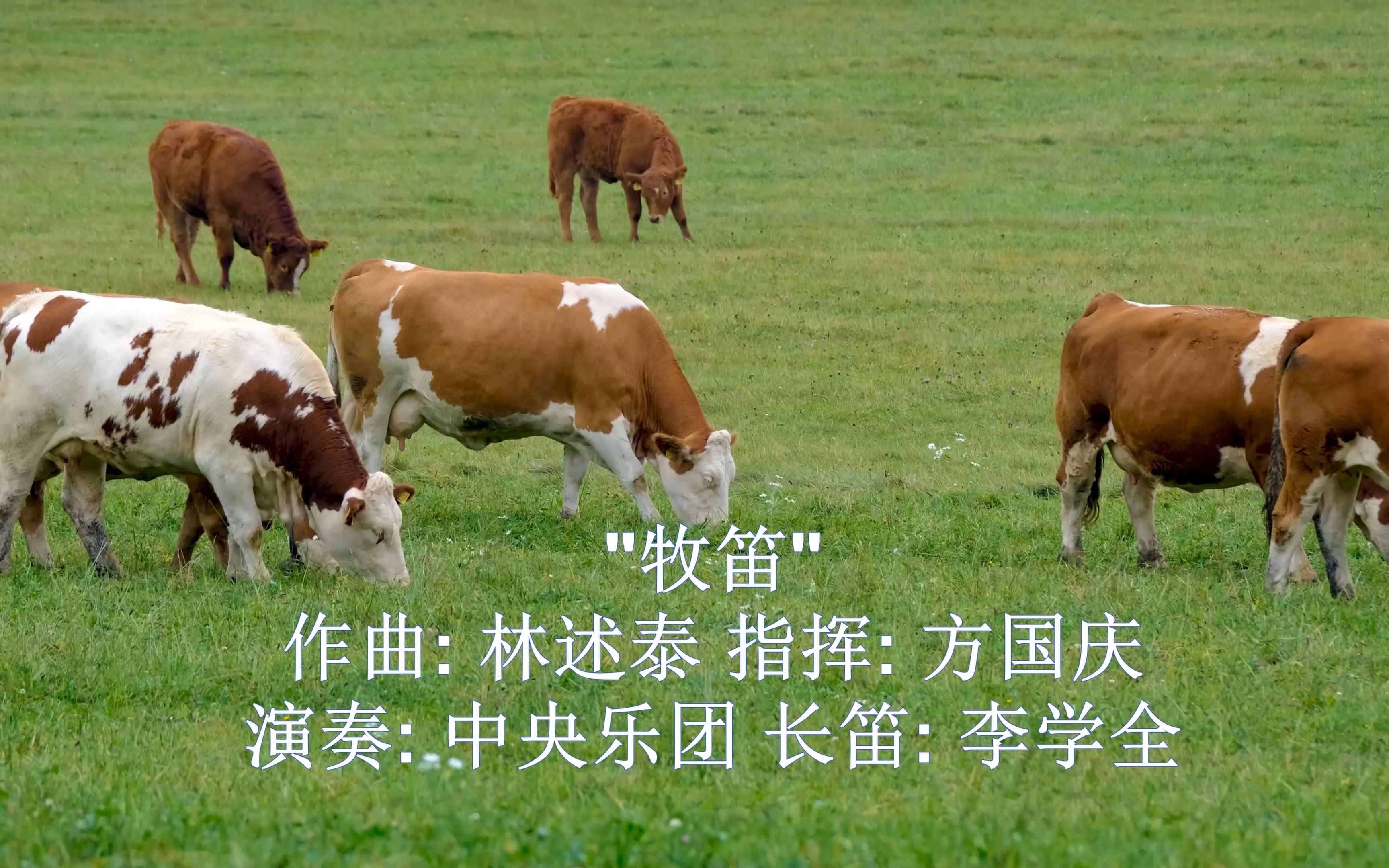 牧笛传媒网牧笛传媒网，引领传媒新风潮-第2张图片