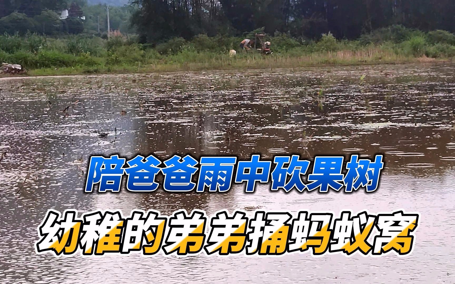 需要爸爸播种高清