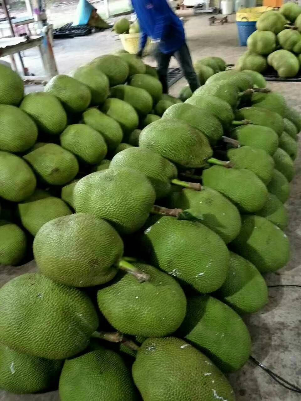菠萝蜜在线观看版免费高清菠萝蜜在线观看版免费文章