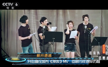 麻花传mv视频大全播放麻花传mv，传承与梦想