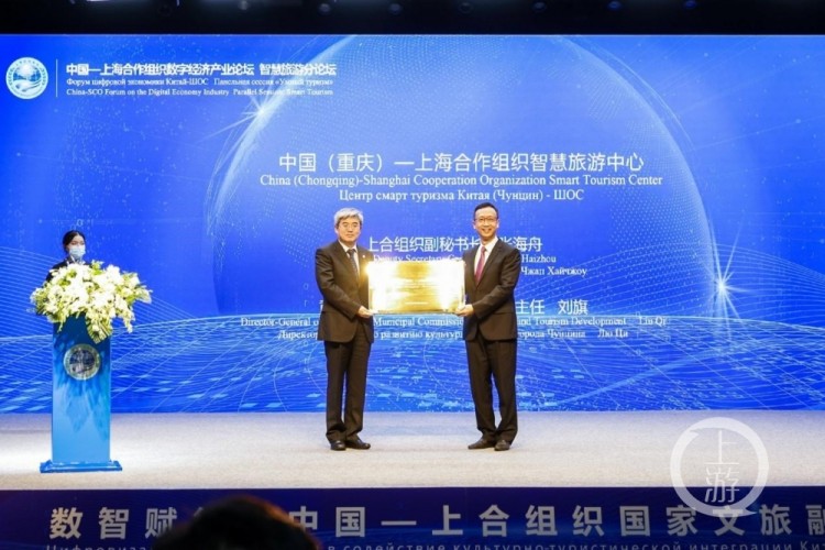 中国夜场论坛，探索文化交流与商业合作的平台