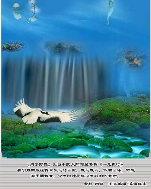 野鹤与江淮辞的1v1-第1张图片