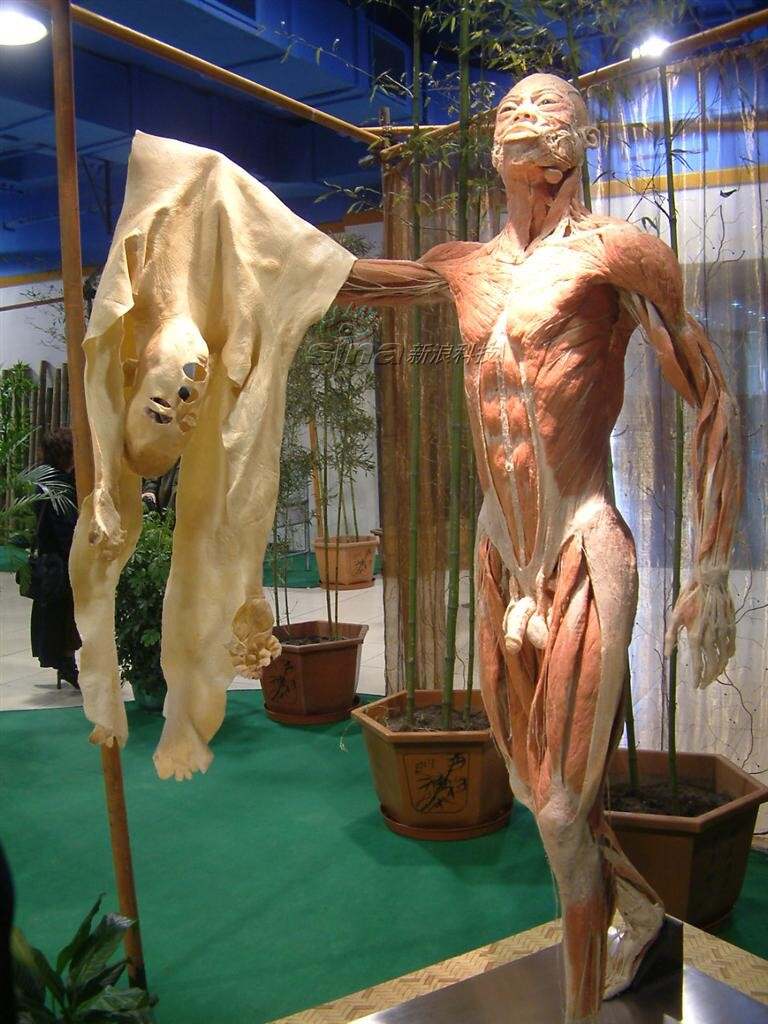 0d0d肥胖老太婆第9集剧情介绍0d0d肥胖老太婆的生活与挑战