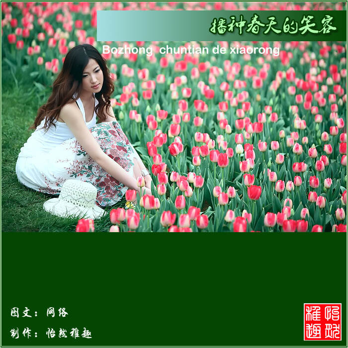 非绿色聊天软件非绿色聊天软件，守护心灵的纯净空间