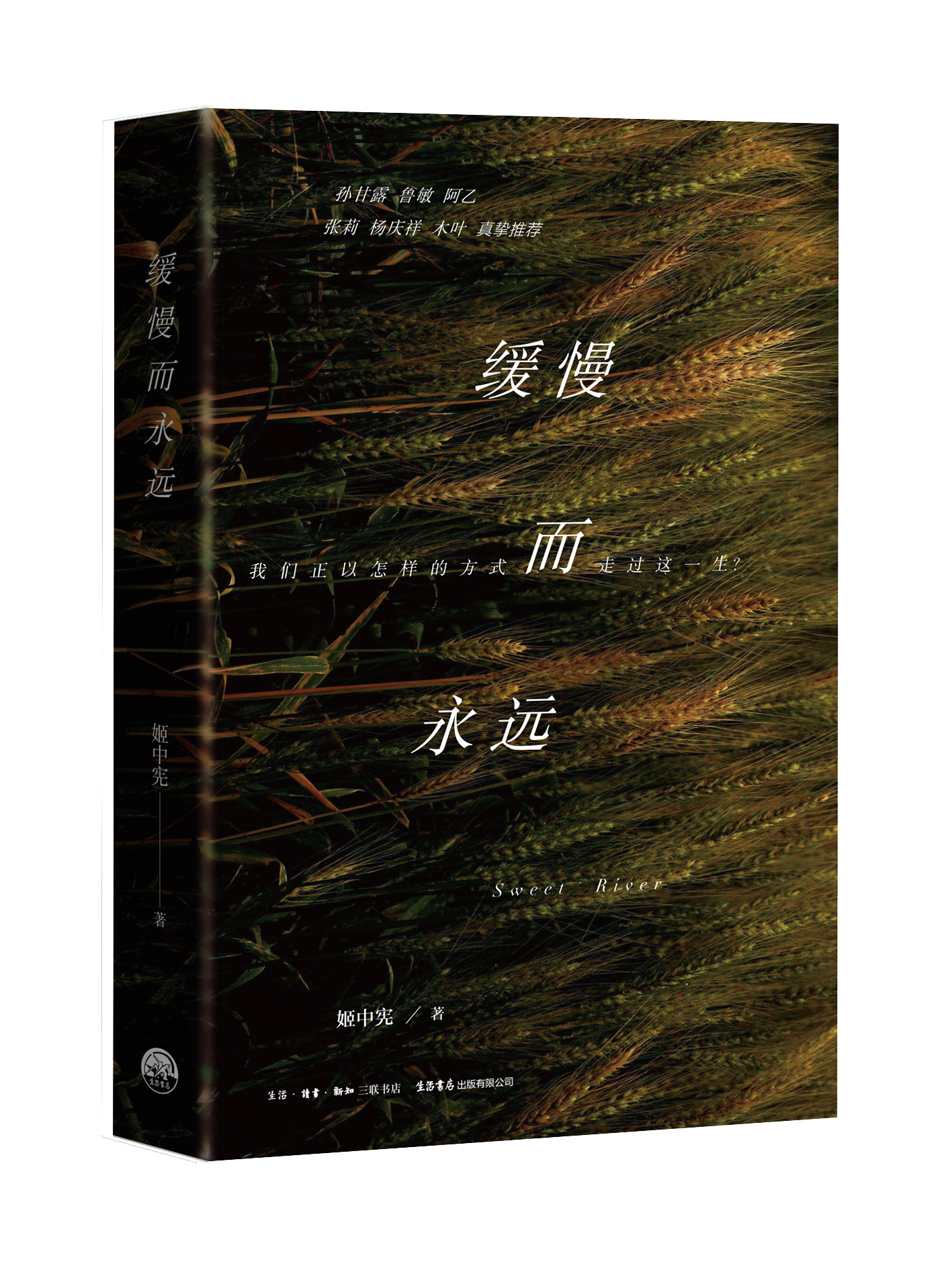 缓慢而有力的往里挺送总裁的寓意总裁缓慢而有力的往里挺送-第2张图片