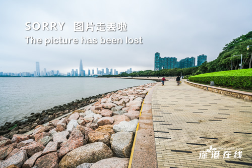 卖得最好的15部AV作品