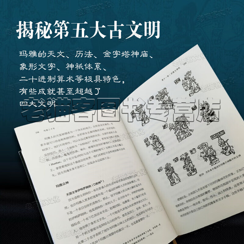 玛雅网新地址揭秘-第2张图片