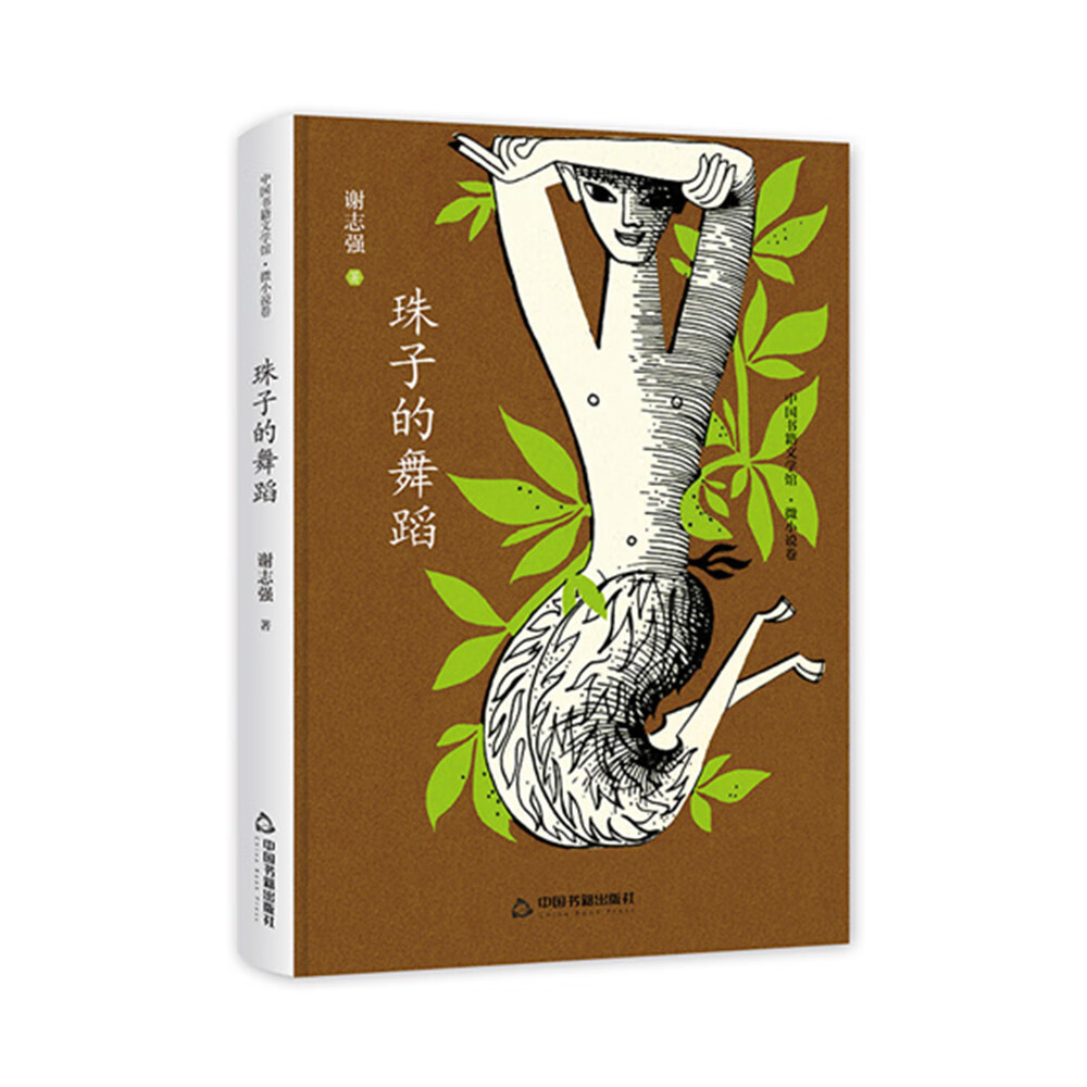 窗前的抚慰舞蹈小说窗前的抚慰舞蹈-第1张图片