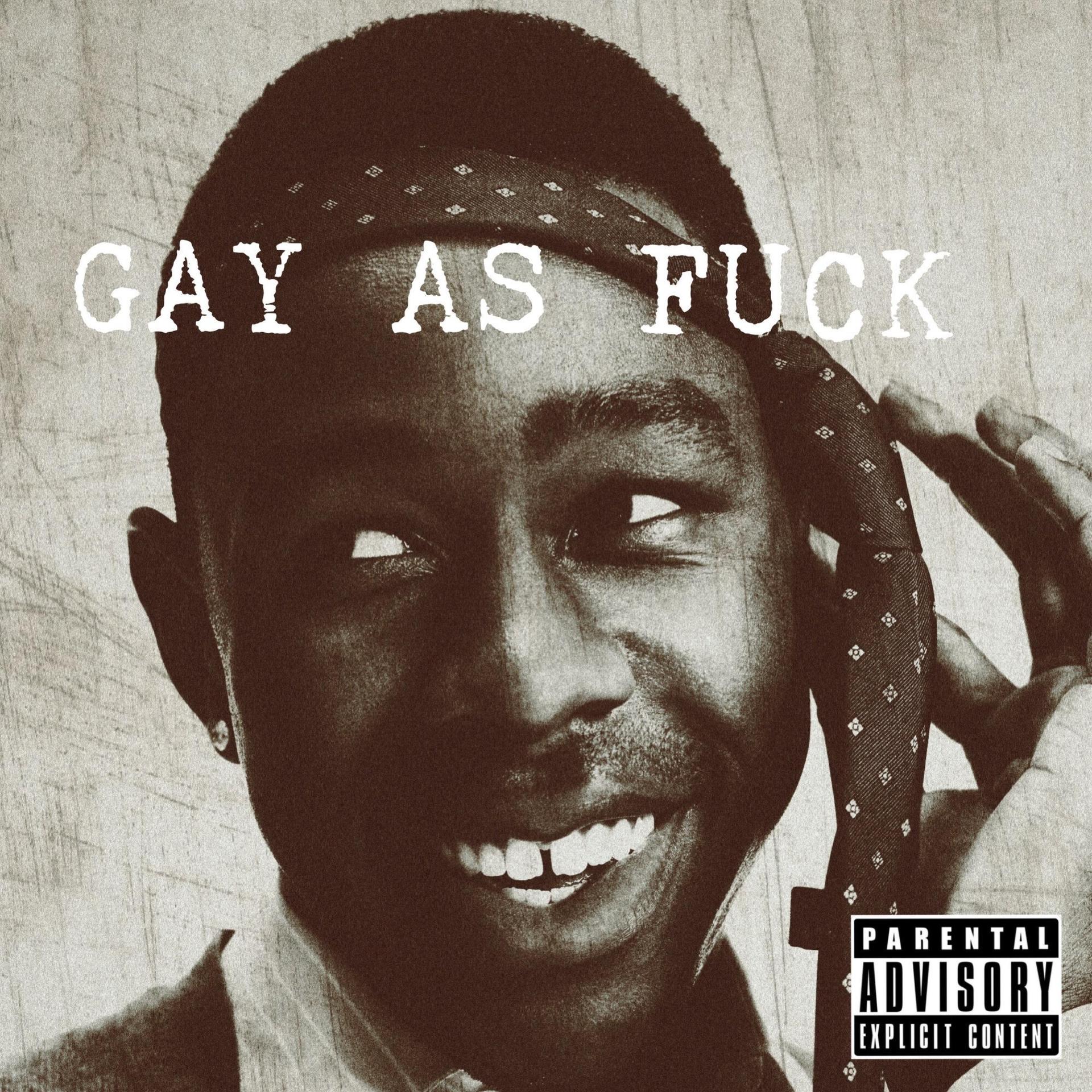 GAYFUCK，探索性行为的新篇章-第2张图片