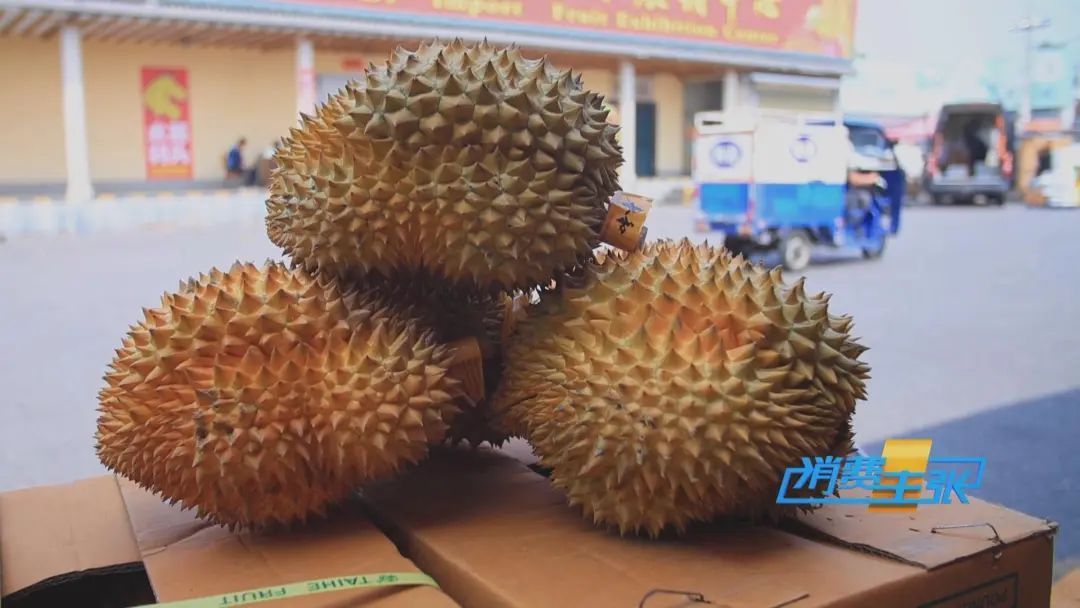 榴莲免费视频app。榴莲视频APP免费观看，探索视频新世界-第3张图片
