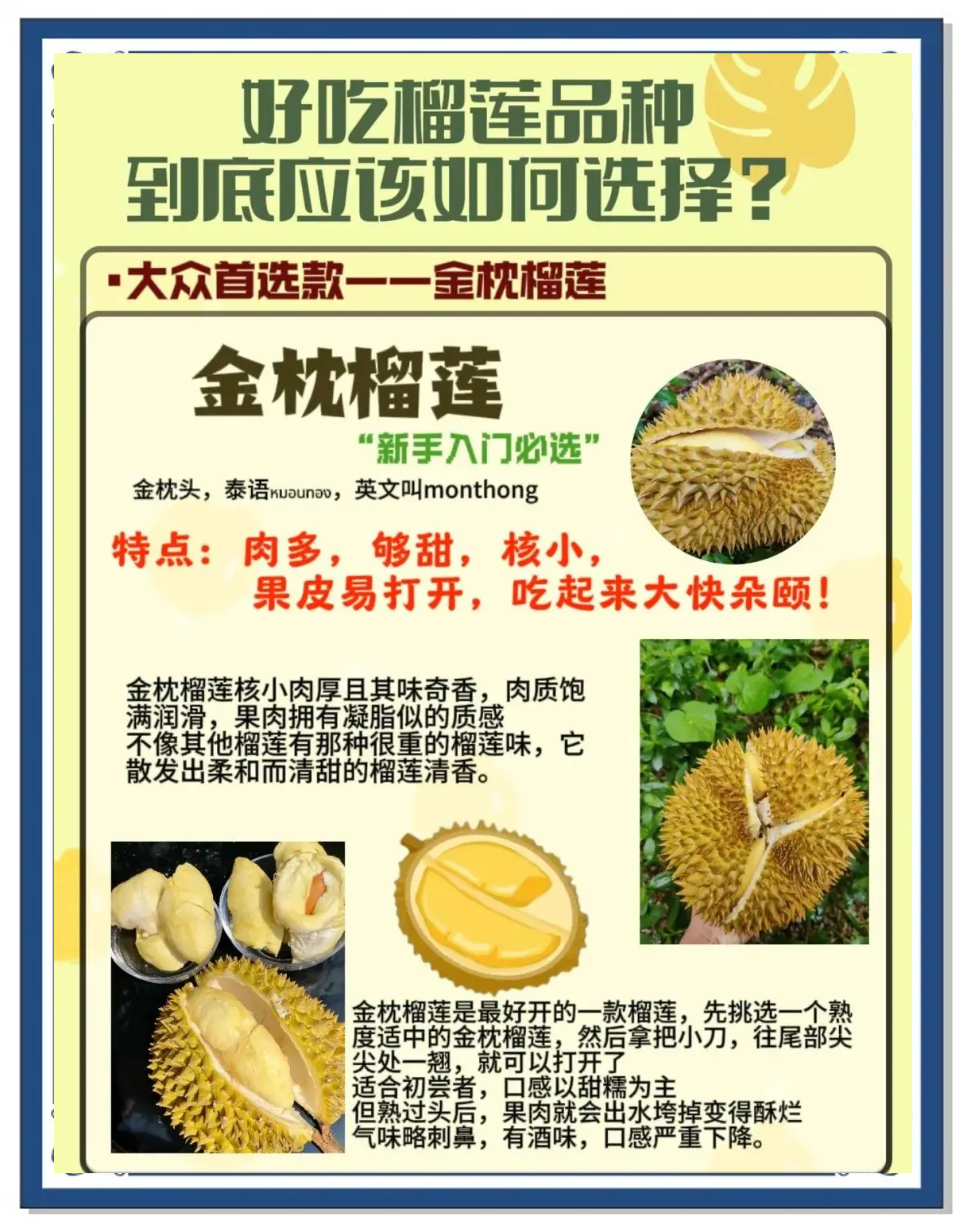 榴莲视频下架后改为啥名榴莲视频，探索美味与诱惑