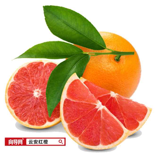 红橙网名红橙网，引领网络新潮流