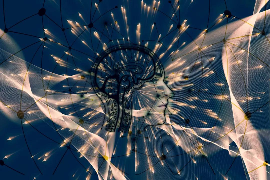 973777.com，探索数字时代的无限可能-第1张图片