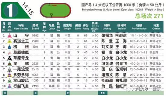 赛马论坛资料公式赛马论坛，探索马术运动的魅力与交流平台-第3张图片