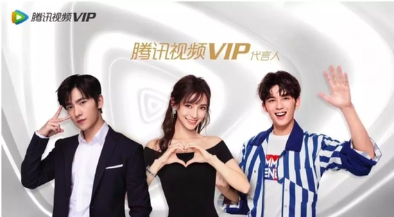 博狗网，优质服务与VIP体验的完美结合-第2张图片