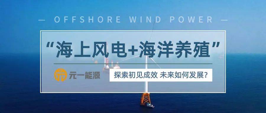 金富利心水论坛，探索心灵交流的海洋