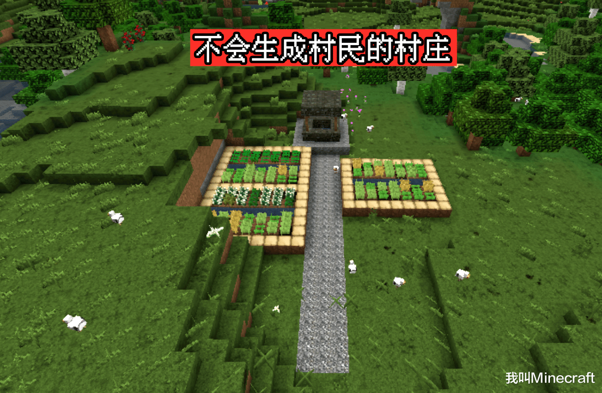 www.哇嘎.com，探索无限可能的世界