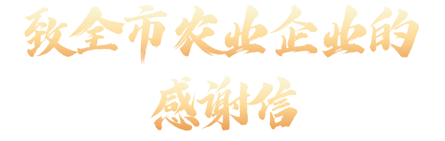 全信网网址全信网，构建信息交流的新平台-第3张图片