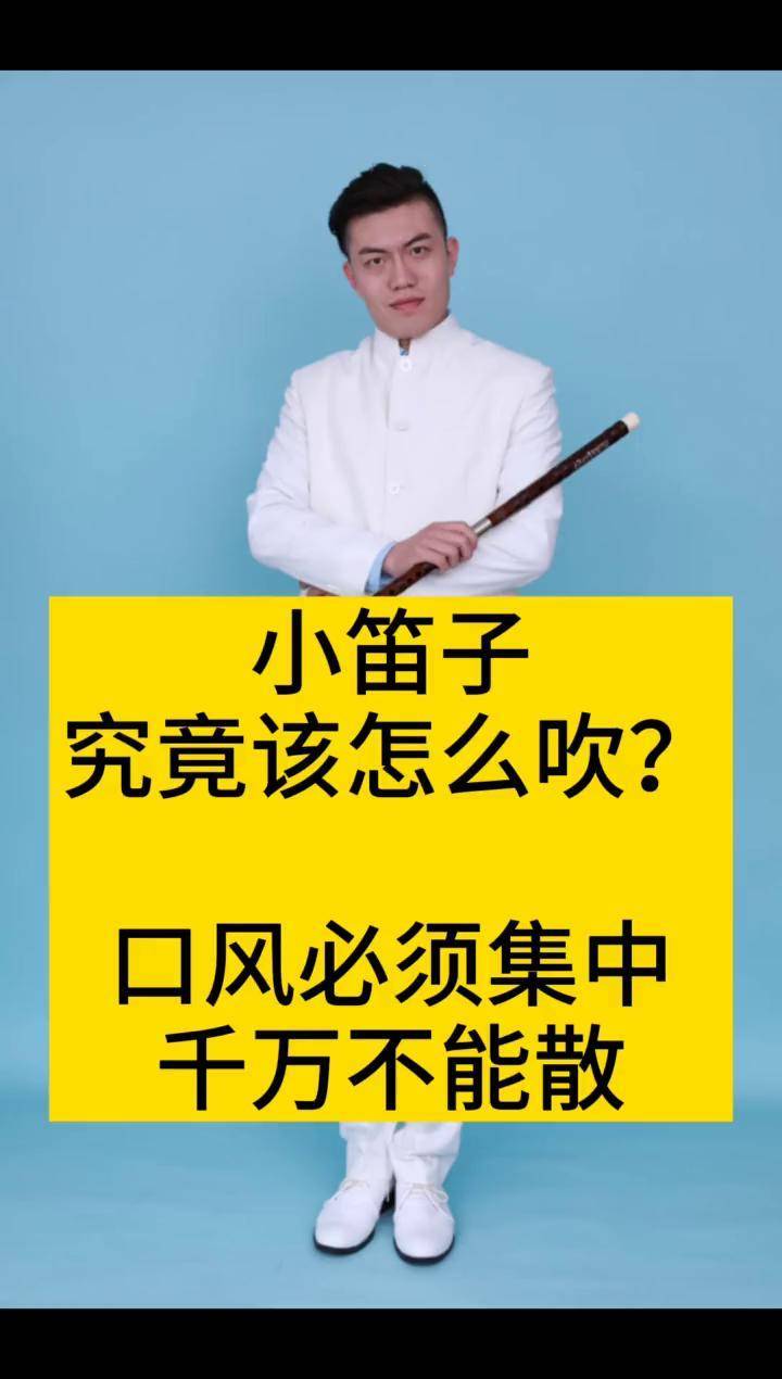 小笛视频，探索视频艺术的魅力-第2张图片