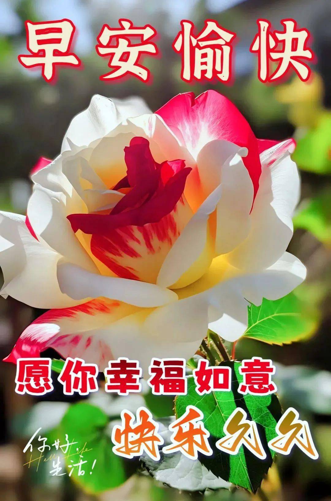 好日子论坛，探索生活中的美好时刻-第1张图片