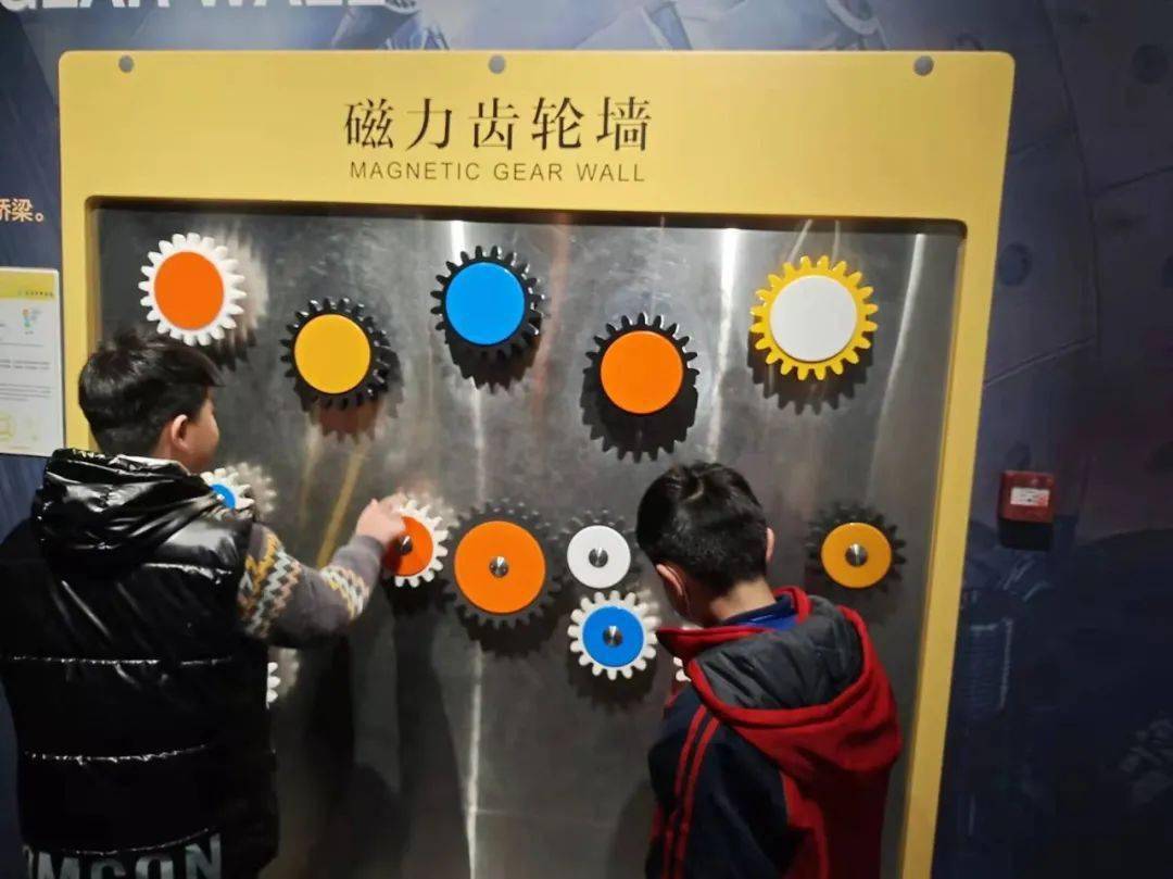 种子磁力，神奇的力量之源-第2张图片
