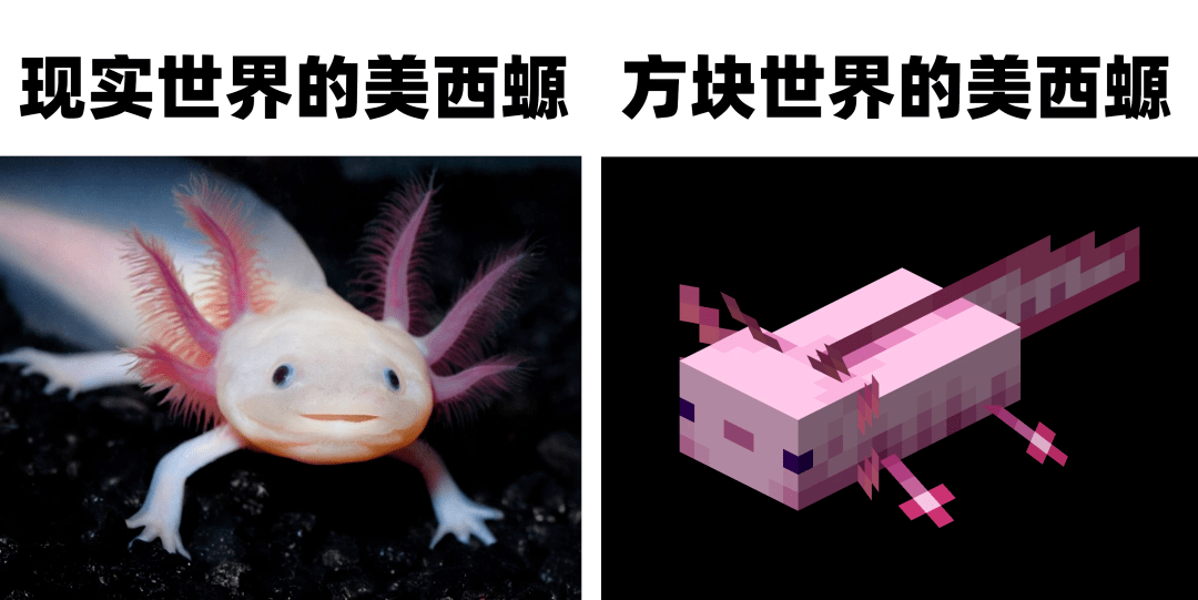期待冒险