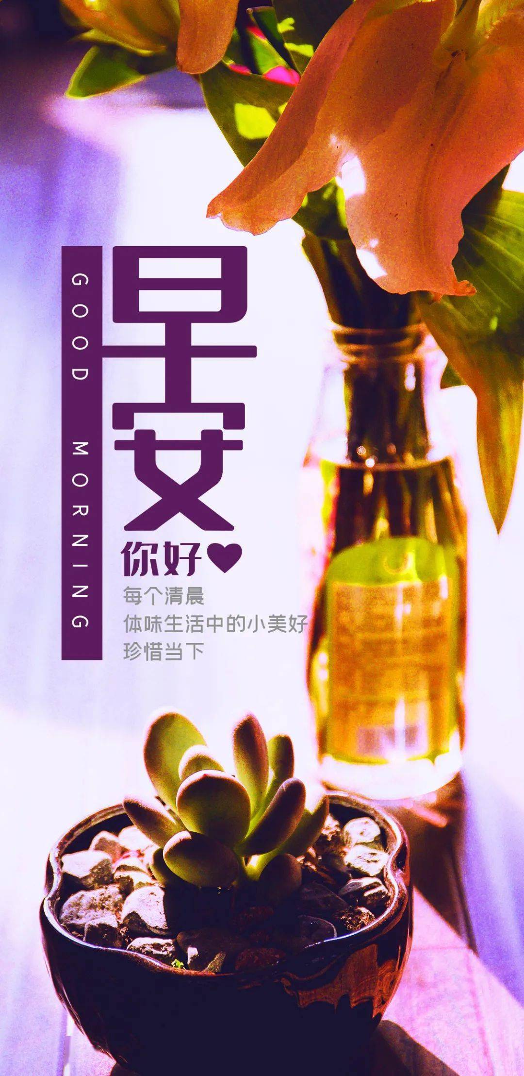 网站免费正能量直接进入