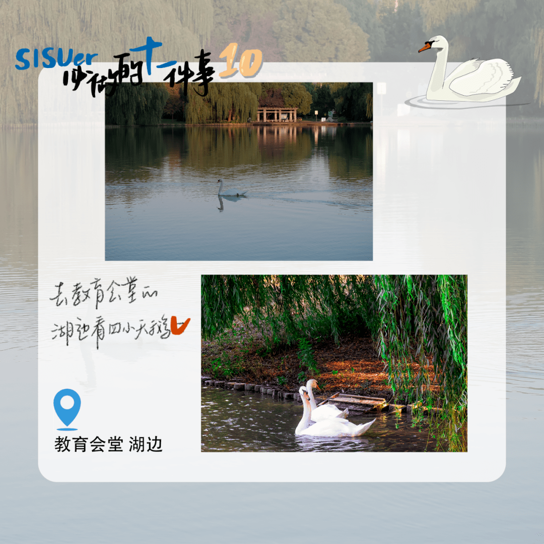 免费一夜晴网站，探索免费资源与在线晴雨表-第2张图片
