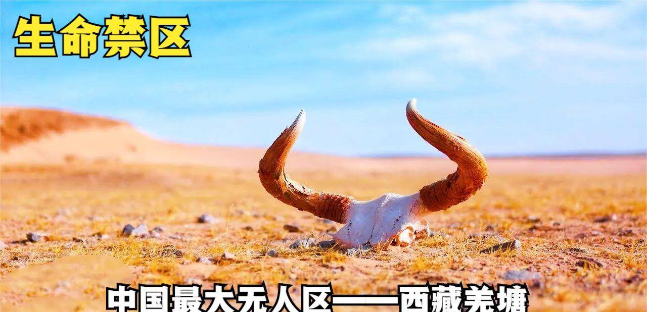 亚洲无人区码卡二卡三卡亚洲无人区码卡二卡三，探险与自然的神秘交汇-第1张图片